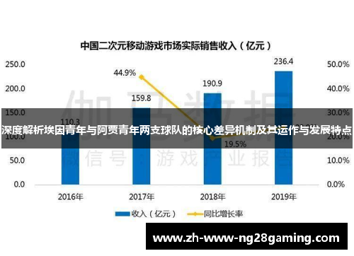 深度解析埃因青年与阿贾青年两支球队的核心差异机制及其运作与发展特点 深度解析埃因青年与阿贾青年两支球队的核心差异机制及其运作与发展特点