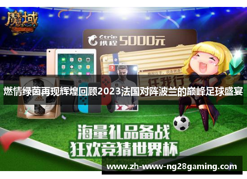 燃情绿茵再现辉煌回顾2023法国对阵波兰的巅峰足球盛宴