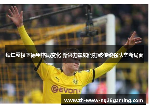 拜仁霸权下德甲格局变化 新兴力量如何打破传统强队垄断局面 拜仁霸权下德甲格局变化 新兴力量如何打破传统强队垄断局面
