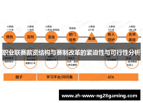 职业联赛薪资结构与赛制改革的紧迫性与可行性分析 职业联赛薪资结构与赛制改革的紧迫性与可行性分析
