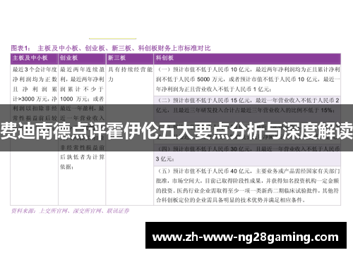 费迪南德点评霍伊伦五大要点分析与深度解读