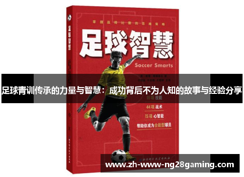 足球青训传承的力量与智慧：成功背后不为人知的故事与经验分享